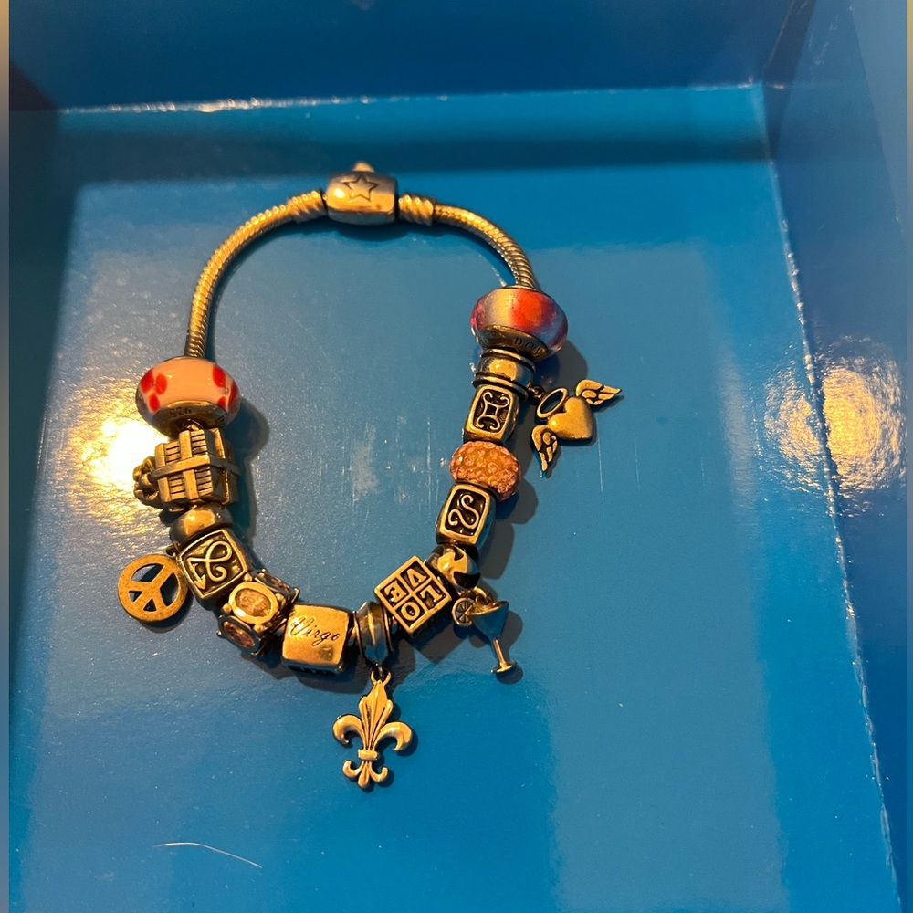 Charm Bracelet with 14 charms